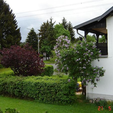 Urlaub Auf Dem Bauernhof Marx Villa Kelberg Eksteriør bilde
