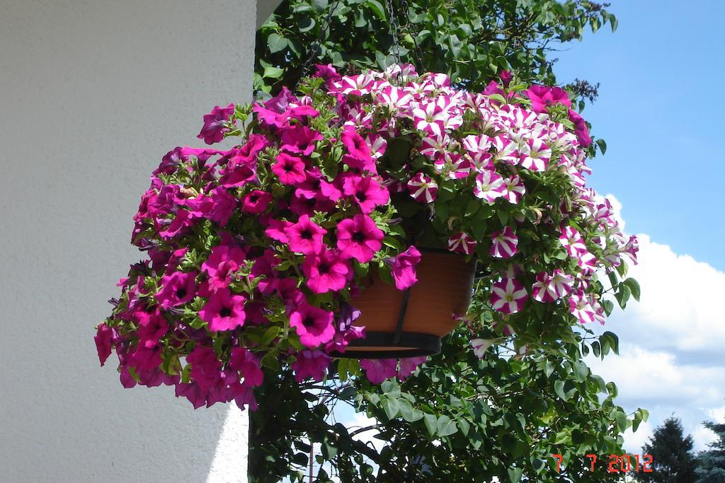 Urlaub Auf Dem Bauernhof Marx Villa Kelberg Rom bilde